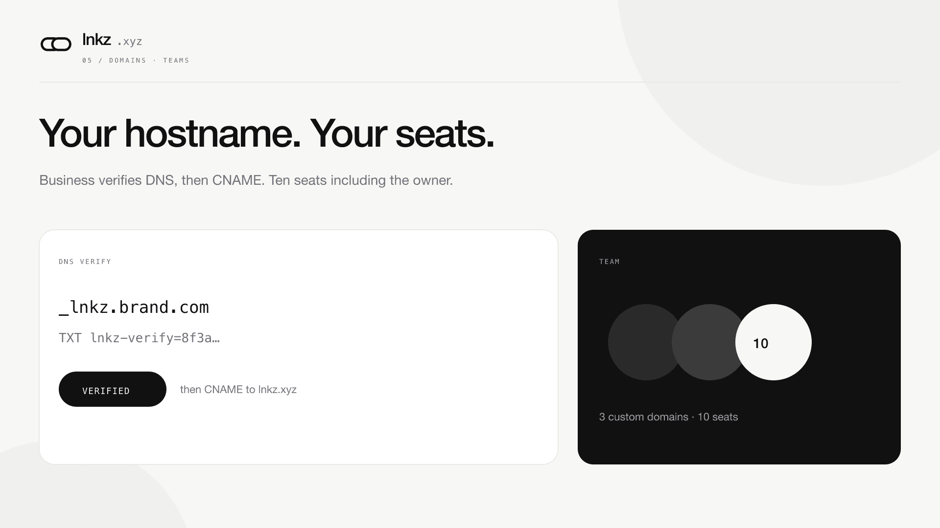 DNS TXT verification for a custom domain next to a 10-seat team card